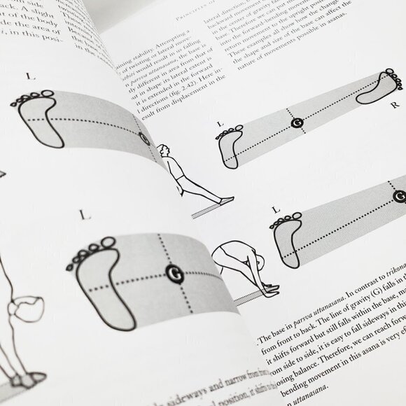 Yoga Therapy Guide to Therapeutic Use Ayurveda For Health Fitness Book by Mohan - Picture 6 of 10